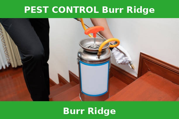 PEST CONTROL Burr Ridge